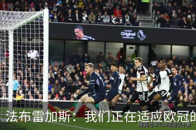 法布雷加斯：我们正在适应欧冠的节奏，这并不容易