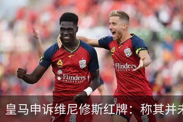皇马申诉维尼修斯红牌：称其并未拉扯对手头发，是对方头发碰其手