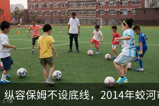 纵容保姆不设底线，2014年蛟河市“10·26”故意杀人案侦破始末